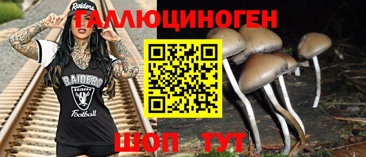 Баксан  Галлюциногенные грибы Magic Shrooms  Псилоцибиновые грибы ЛСД  Вход с VPN 