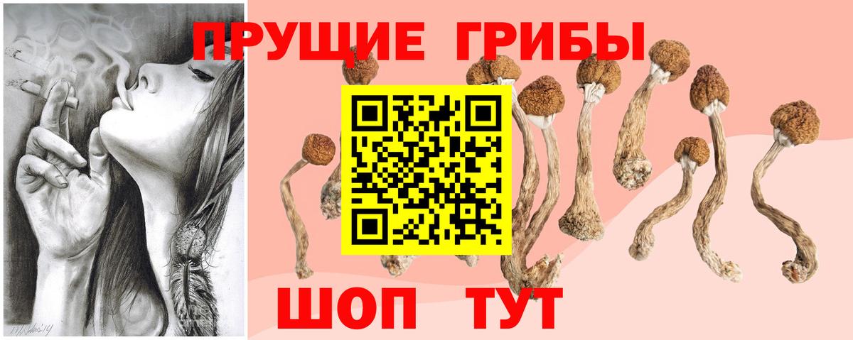 Псилоцибиновые грибы Cubensis Баксан